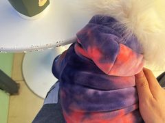 -怪兽屋·羊驼·猫咖·狗咖(俊华广场店)