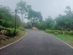 -八仙山公园