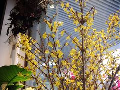 -植物学家的女儿(北马道巷店)