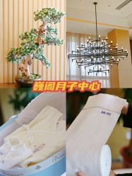 -巍阁月子中心(南山店)