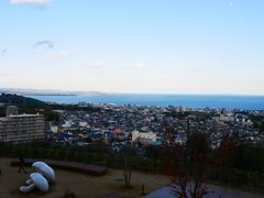 -别府杉乃井酒店