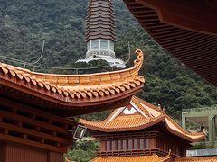 -深圳仙湖植物园