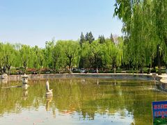 -团结湖公园
