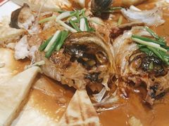 -老山东·山东菜(鲁菜名店)