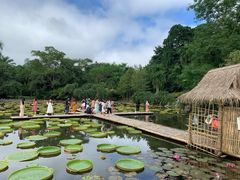-中国科学院西双版纳热带植物园