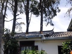 -瑞丰园庭院餐厅·白族传统家常菜