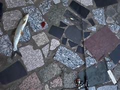 -蓝天路(地铁站)