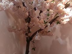 -樱花里音乐餐吧·牛扒椰子鸡(东圃店)