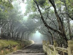 -普陀山风景区-佛顶山