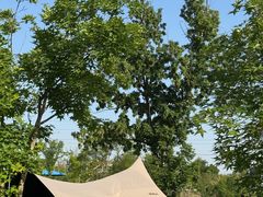 -两河城市森林公园