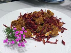-丁老爷子苏香圆