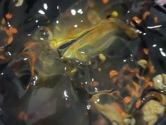 红糖桂花凉粉-老湘亲·品鉴湘菜(湖里店)