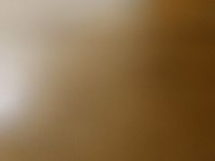 -广东金融学院(校本部)