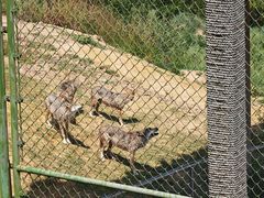 -鄂尔多斯野生动物园