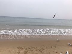 -海云台海滩