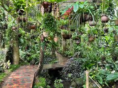 -中国科学院西双版纳热带植物园