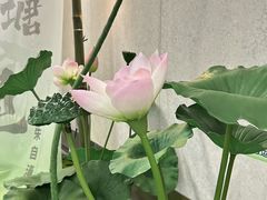 -金茂览秀城