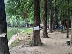 -汉水公园