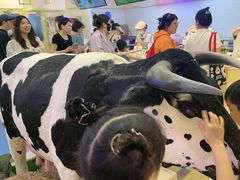 -红星前进面包牛奶公司(君太店)