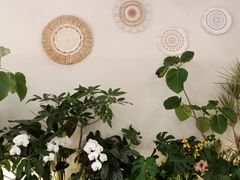 -Fruiffee Cafe 果啡派