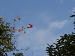 -明故宫遗址公园