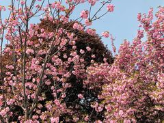 -城市运动公园(未央区)