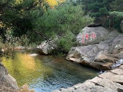 -无染寺