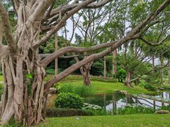 -云溪植物园