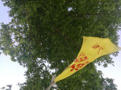 -小六农家乐(崇明西沙湿地店)