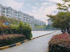 -南京东山外国语学校分校江宁区岔路学校