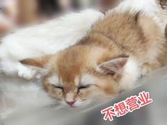 -仲盛世界商城