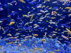 -成都浩海立方海洋公园