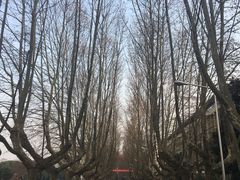 -一鸣真鲜奶吧(卫岗店)