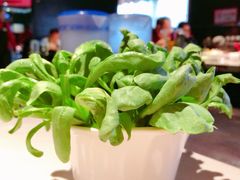 鸡毛菜-海底捞火锅鲜切牛肉主题店(长寿路店)