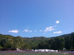 -紫海香堤香草艺术庄园