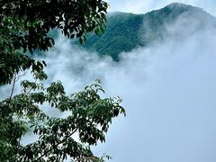 -东天目山风景区