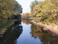 -大望京公园