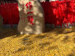 -红螺寺