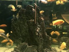 -大家乐(佛山普君店)