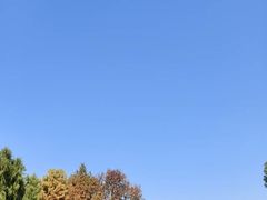 -江滩湿地公园