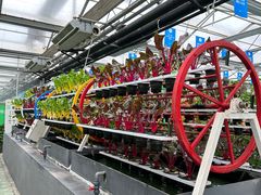 -兰陵国家农业公园