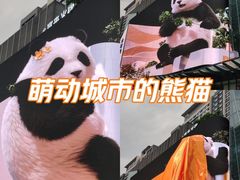 -合景·悠方(成都店)