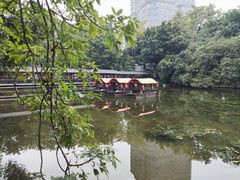 -侨美·唐荔园·40年地道粤菜