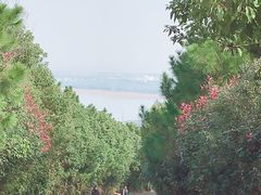 -雨花胜境
