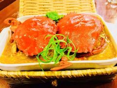 -茉莉.Red Crab