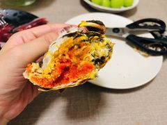 阳澄湖大闸蟹-黄记大闸蟹专卖店·活蟹·醉蟹