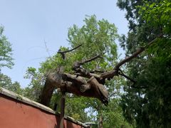 -潭柘寺景区