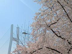 -南浦大桥长途旅游客运站