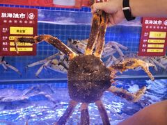 -驻海渔市(置信店)