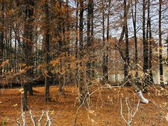 -梁鸿国家湿地公园
